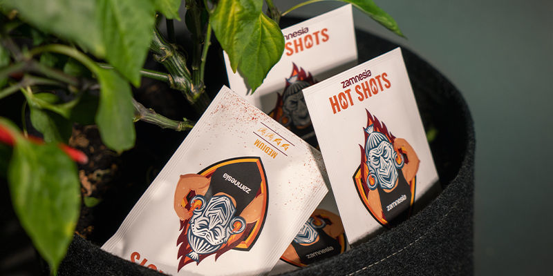 Wybierz swoje ulubione ostre papryczki i zacznij je uprawiać