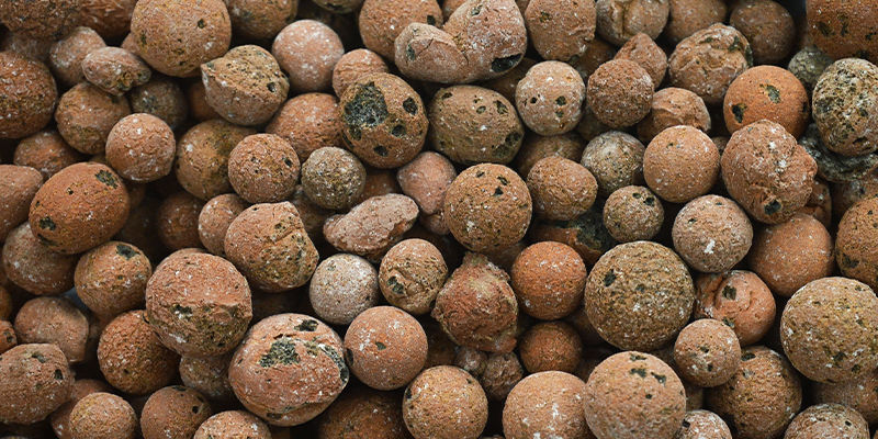 Uprawa ostrych papryczek w hydroponice: najważniejsze wskazówki Uprawa ostrych papryczek w hydroponice: najważniejsze wskazówki