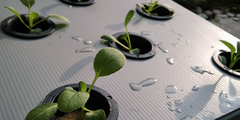 Wick Systems Wick Systems