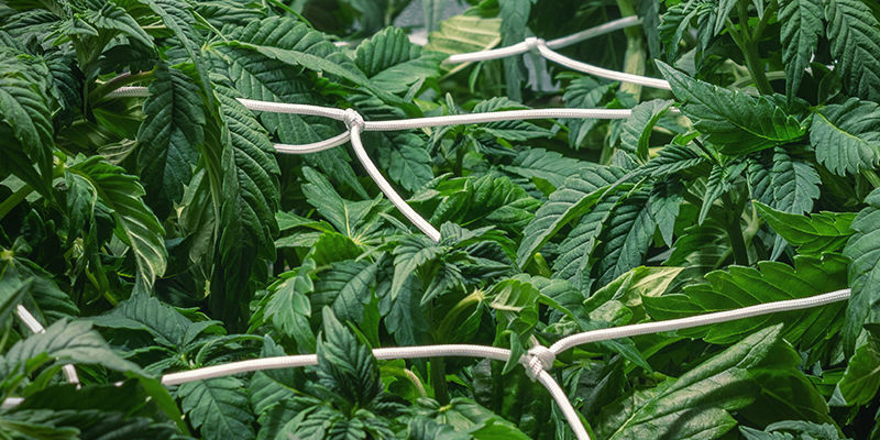 Możesz zacząć trening już na starcie Możesz zacząć trening już na starcie