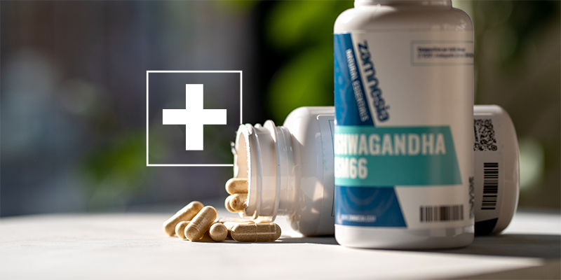 Jakie mogą być potencjalne korzyści z przyjmowania ashwagandhy? Jakie mogą być potencjalne korzyści z przyjmowania ashwagandhy?