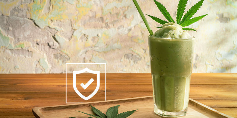 Is It Safe To Consume Raw Cannabis? Is It Safe To Consume Raw Cannabis?