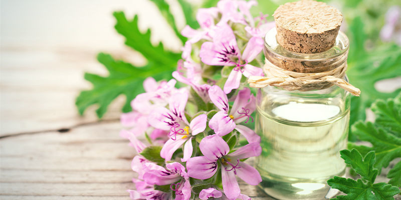 Czym jest geraniol? Czym jest geraniol?