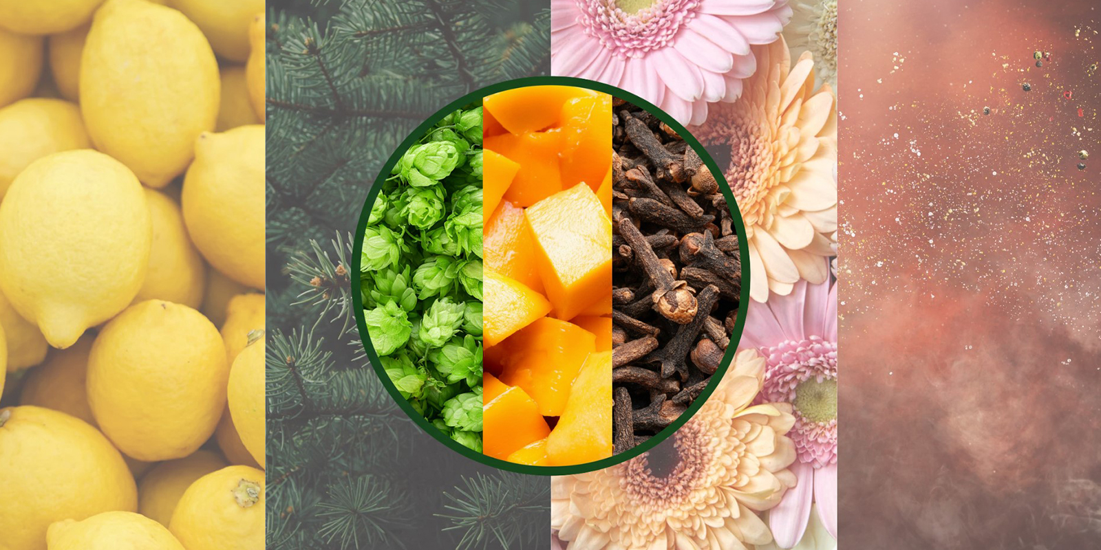 Mircen a inne terpeny