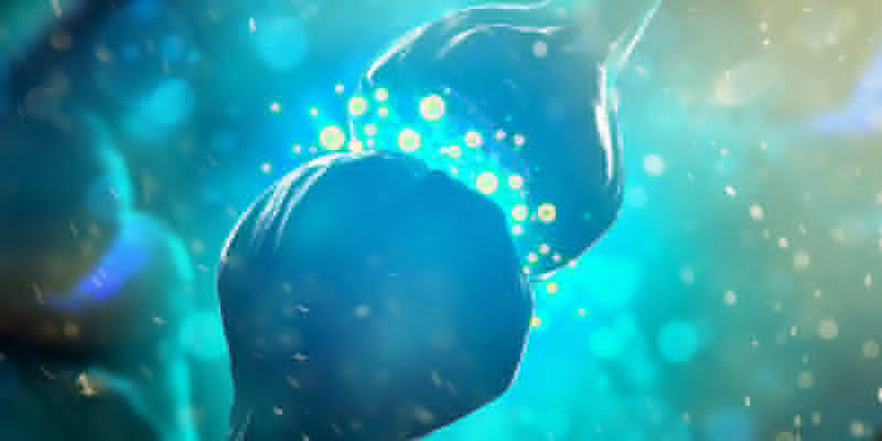 Dlaczego organizm buduje tolerancję na grzybki halucynki? Dlaczego organizm buduje tolerancję na grzybki halucynki?