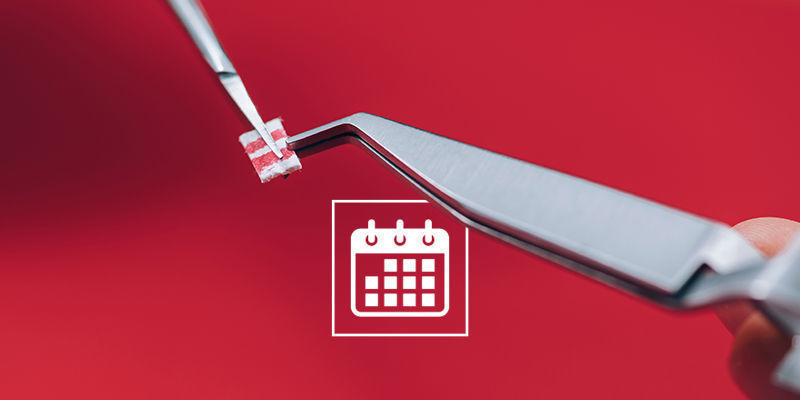 Jak długo należy mikrodawkować? How Long Should You Microdose For?