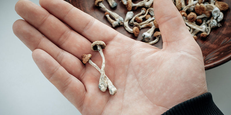 Najlepsze wskazówki dotyczące mikrodawkowania Najlepsze wskazówki dotyczące mikrodawkowania