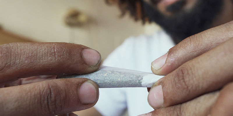 Poznaj pełnię możliwości konopi Poznaj pełnię możliwości konopi