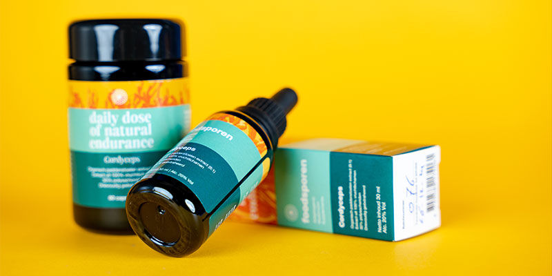 Gdzie kupić kordyceps?