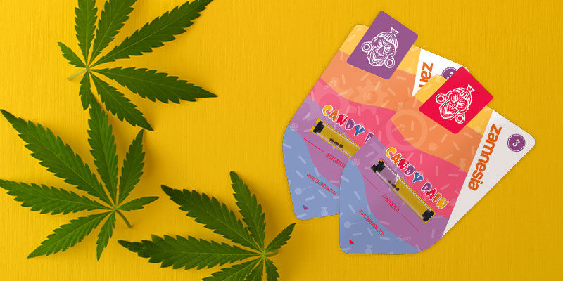 Jak uprawiać Candy Rain