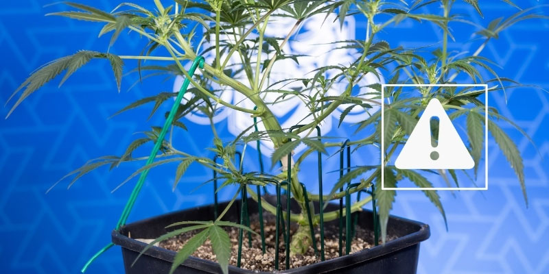 Możliwe ryzyka i jak ich uniknąć