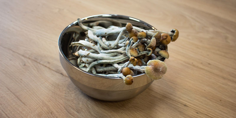 Psychodeliki i MAOI Psychodeliki i MAOI