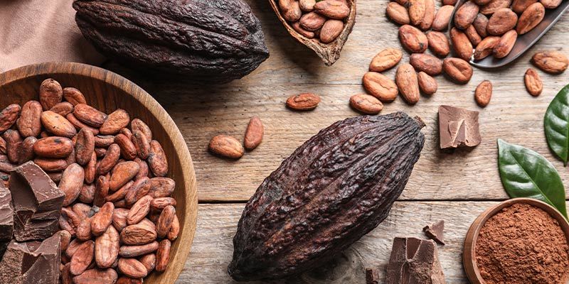 Czym są inhibitory monoaminooksydazy (MAOI)? What are monoamine oxidase inhibitors (MAOIs)?