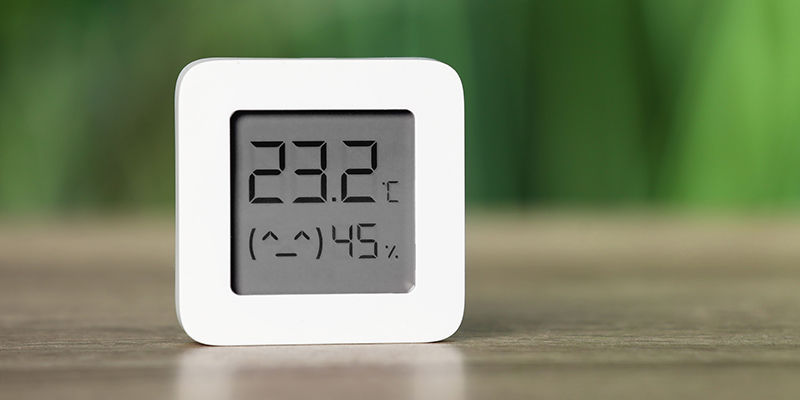 The Flowering Stage The flowering stage