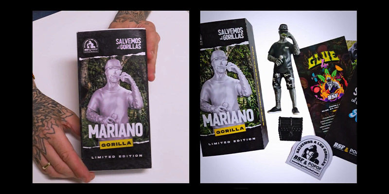 Nie zwlekaj i pomóż ocalić goryle Grauera już dziś Nie zwlekaj i pomóż ocalić goryle Grauera już dziś