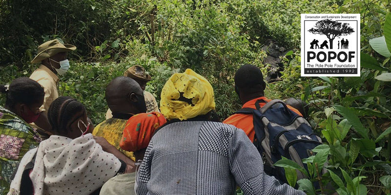 The Pole Pole Foundation The Pole Pole Foundation