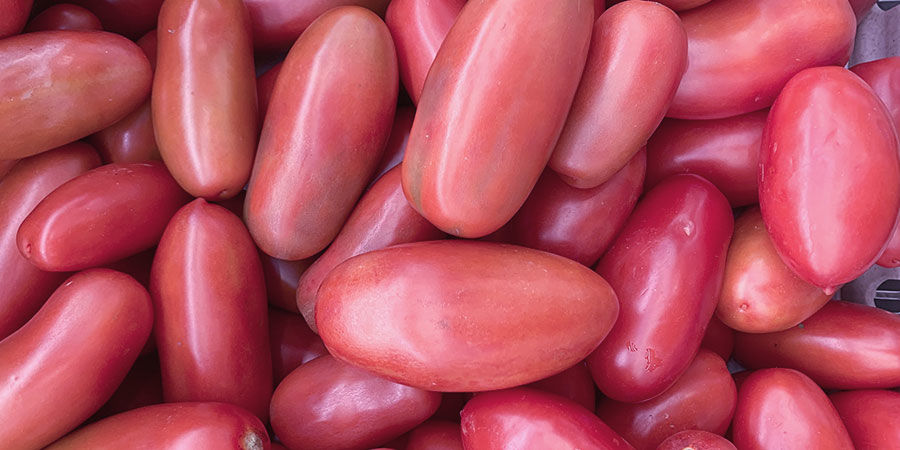 Pomidor koktajlowy „Thai Pink Egg”