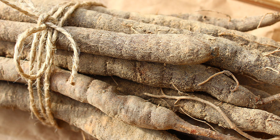 Salsify Blanco Salsify Blanco