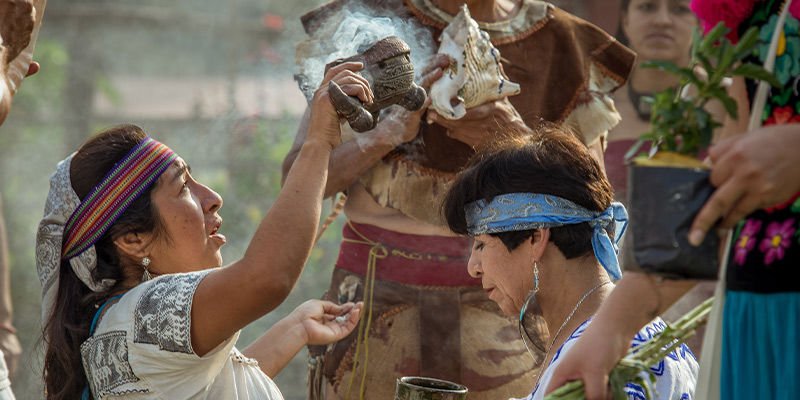 Czy szamani koniecznie używają narkotyków? Czy szamani koniecznie używają narkotyków?