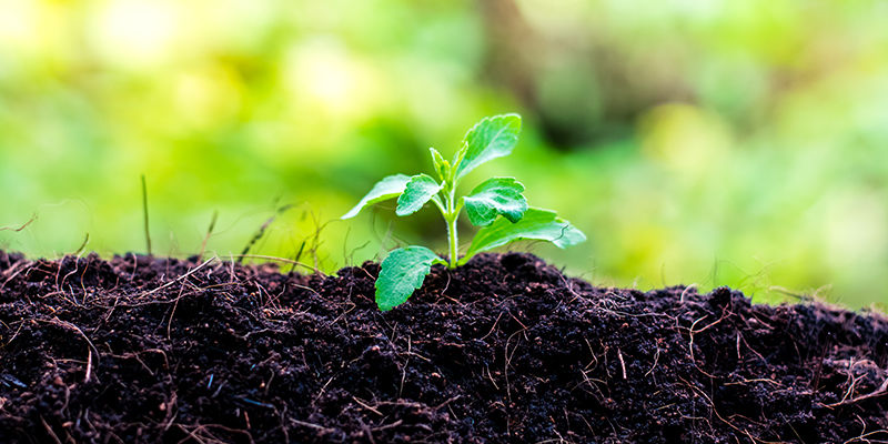 Wybierz odpowiednie miejsce