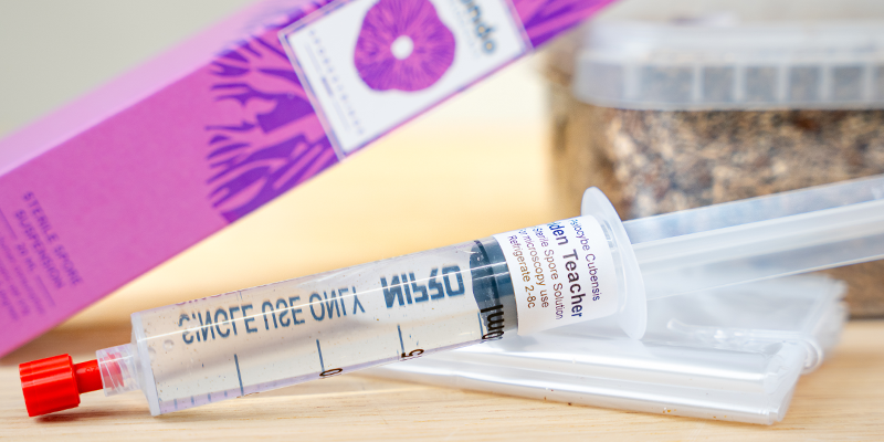 Jakie są różnice między strzykawką z zarodnikami a kulturą w płynie? Jakie są różnice między strzykawką z zarodnikami a kulturą w płynie?