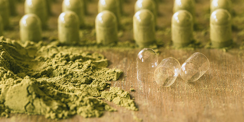 Jak mikrodawkować meskalinę