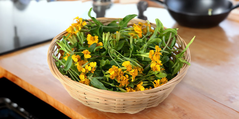 Jak przygotować estragon meksykański