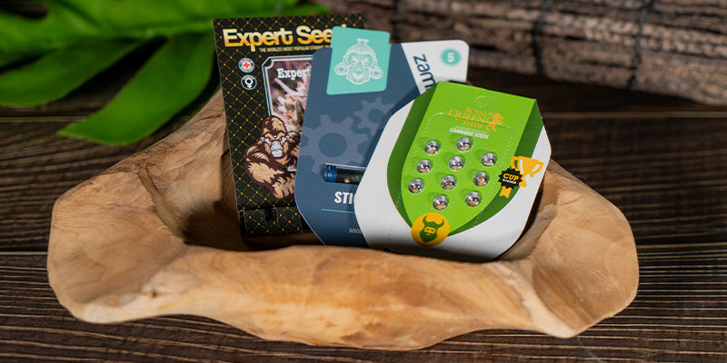 Czas poznać tetraploidy i triploidy