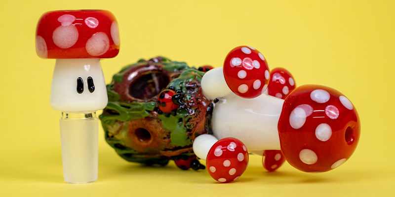 Sample A Shroom Or Two Sample a shroom or two