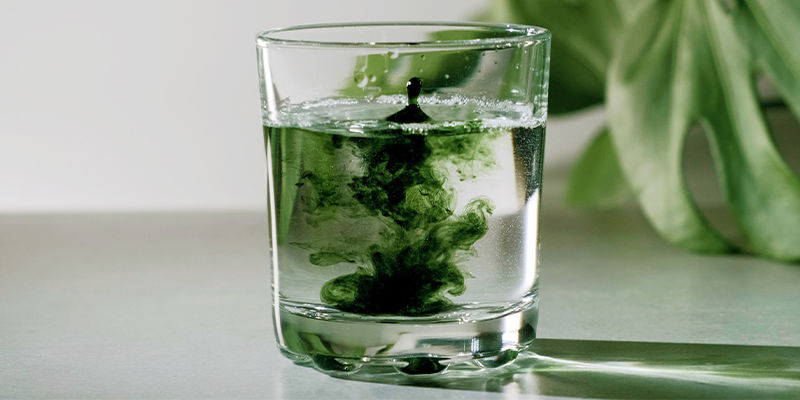 Chlorella: Świetne uzupełnienie każdej zdrowej diety Chlorella: A Great Addition To Any Healthy Diet