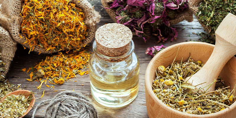 What Are Medicinal Plants?