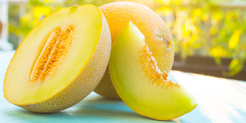 Muskmelon Muskmelon