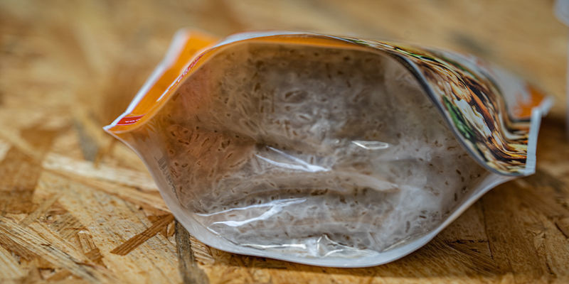 Pozwól podłożu się przerośnąć Pozwól podłożu się przerośnąć