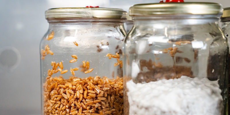 Grain To Bulk Grain to bulk