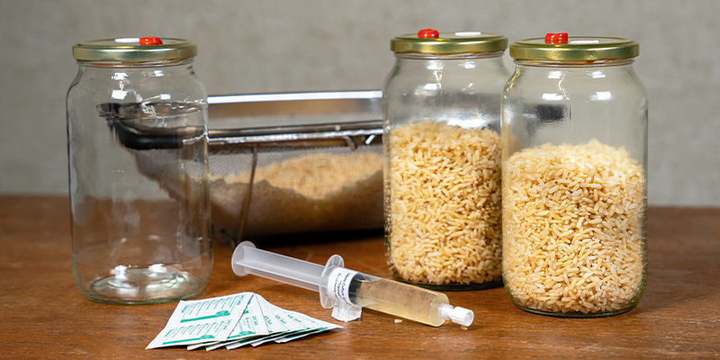 Jak przygotować zaszczepkę grzybową bez szybkowaru Jak przygotować zaszczepkę grzybową bez szybkowaru