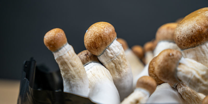 Jakie są zagrożenia związane ze sterylizacją bez szybkowaru? Jakie są zagrożenia związane ze sterylizacją bez szybkowaru?