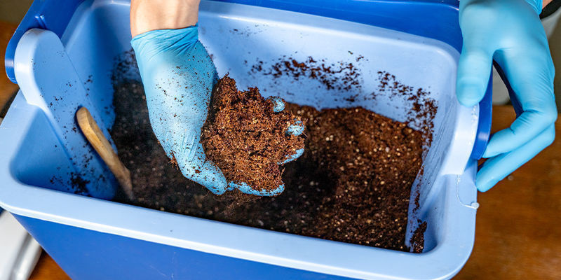 Jak długo wytrzymuje podłoże CVG?