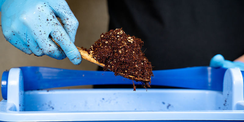 Zalety i wady stosowania włókna kokosowego