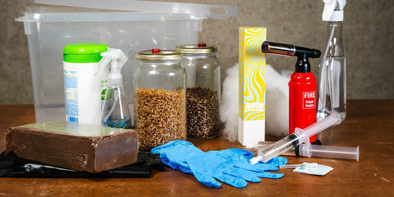 Jak uprawiać grzybki halucynki w monotubie Jak uprawiać grzybki halucynki w monotubie