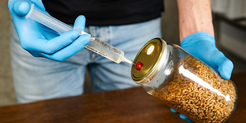 Przygotuj podłoże do monotuba Przygotowanie podłoża do monotuba