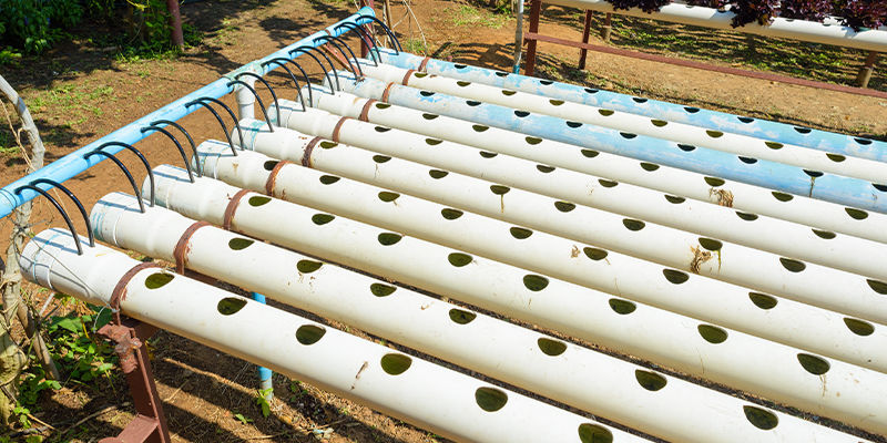 Na czym polega hydroponika w systemie nutrient film technique (NFT)?