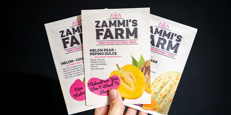 Nie ma powodu na melono-cholię