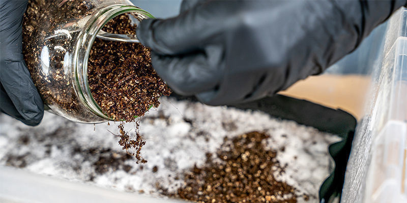 Jak gruba powinna być warstwa okrywowa? Jak gruba powinna być warstwa okrywowa?