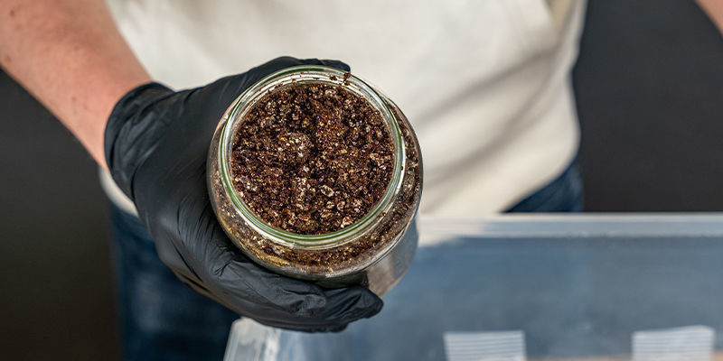 Jak zrobić warstwę okrywową do uprawy grzybów Jak zrobić warstwę okrywową do uprawy grzybów