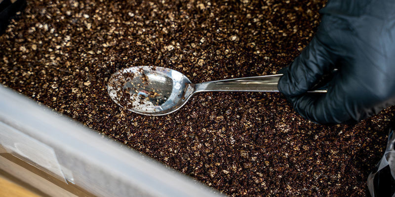 Czy warstwa okrywowa jest konieczna? Czy warstwa okrywowa jest konieczna?