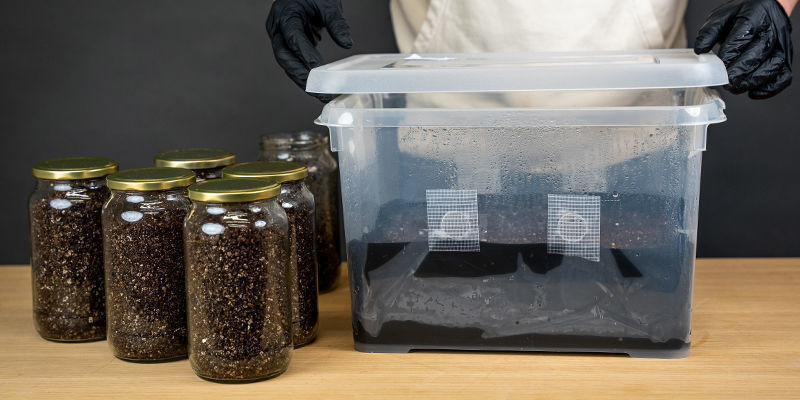 Czym dokładnie jest warstwa okrywająca? Czym dokładnie jest warstwa okrywająca?