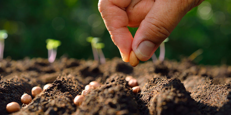 Catering For Colder Climates Catering for colder climates