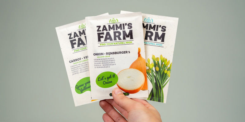 Spokojnie — Zamnesia ma dla Ciebie wszystko Spokojnie — Zamnesia ma dla Ciebie wszystko