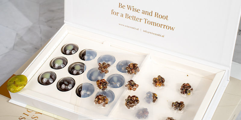 Mikrodawkowanie z Wise Rootz: najnowsza granica wykorzystywania psychodelików dla dobrostanu