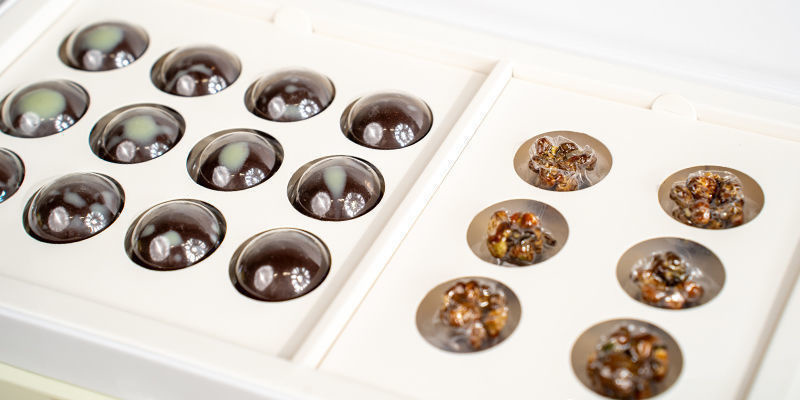 Pudełka Wise Rootz Synergy Microdosing: dla pełnego dobrostanu